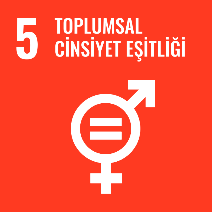 Değerse | Toplumsal Cinsiyet Eşitliği | Sürdürebilir Kalkınma | Toplumsal cinsiyet eşitliğini sağlamak ve tüm kadınlar ile kız çocuklarını güçlendirmek